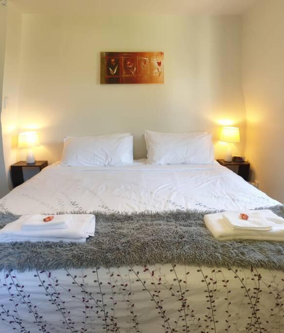 Central Cozy House - 10 Min Walk To Town Queenstown Extérieur photo